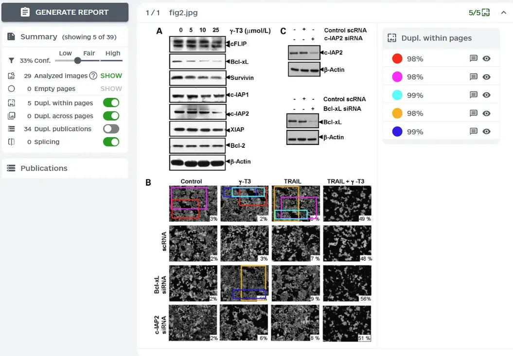 ImageTwin检测报告